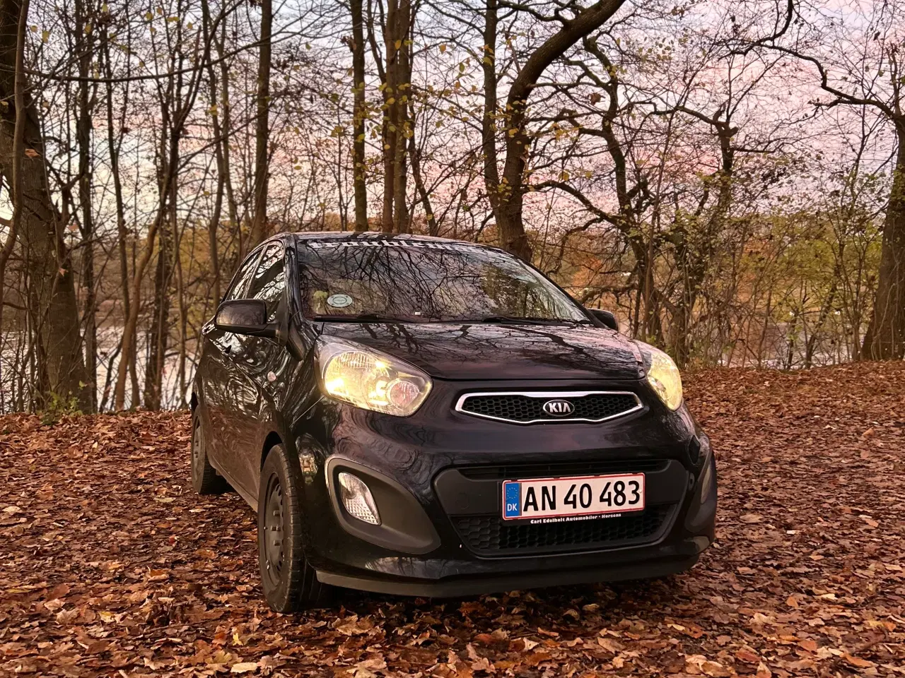 Billede 6 - 🚗✨ Kia Picanto 1.0 (69 hk) – 5-dørs, benzin ✨🚗