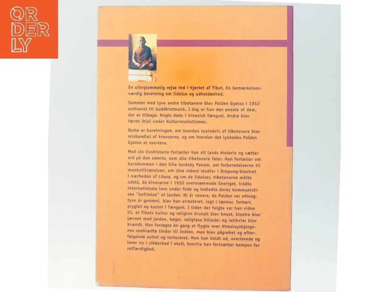 Billede 3 - Ilden under sneen af Palden Gyatso (Bog)