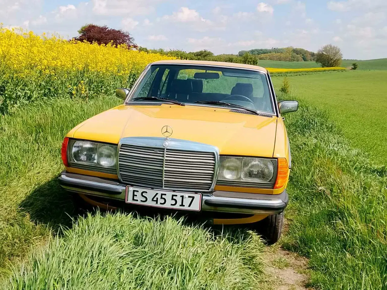 Billede 1 - Mercedes benz 123 2,0 benzin