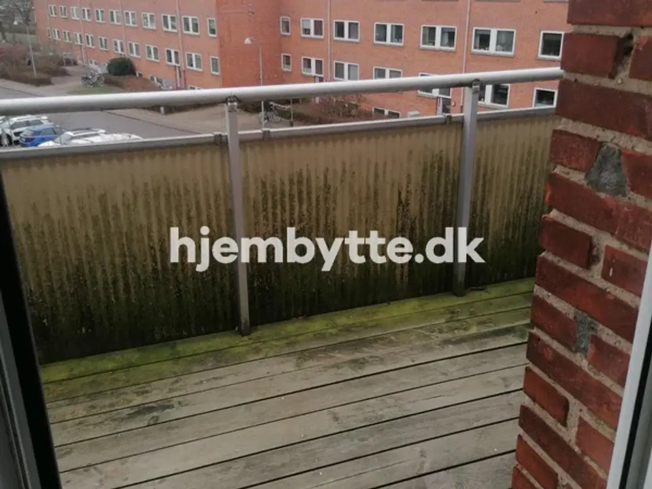 Billede 10 - Hjembytte - Rylemosen