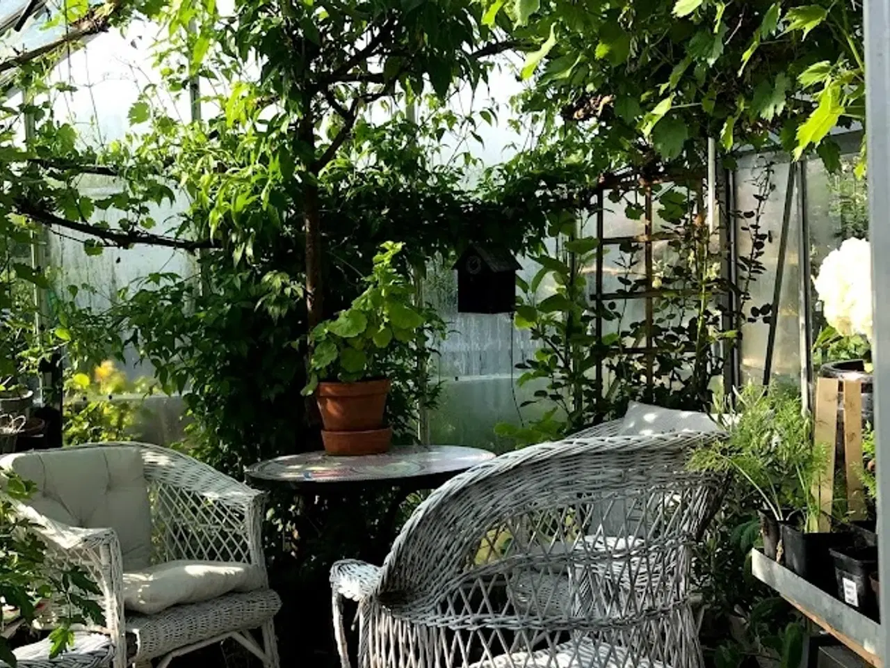 Billede 14 - Kolonihavehus - Randers