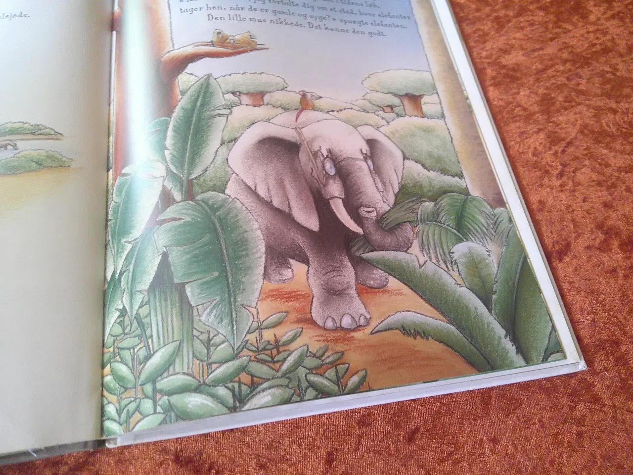 Billede 2 - Gamle ven, Laurence Bourguignon