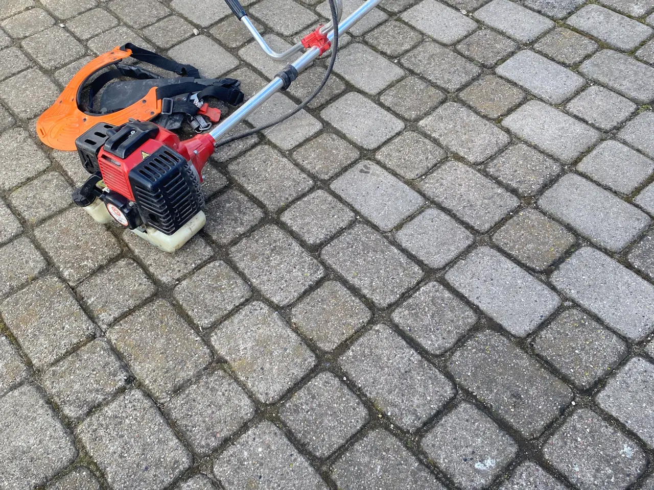 Billede 1 - Buskrydder