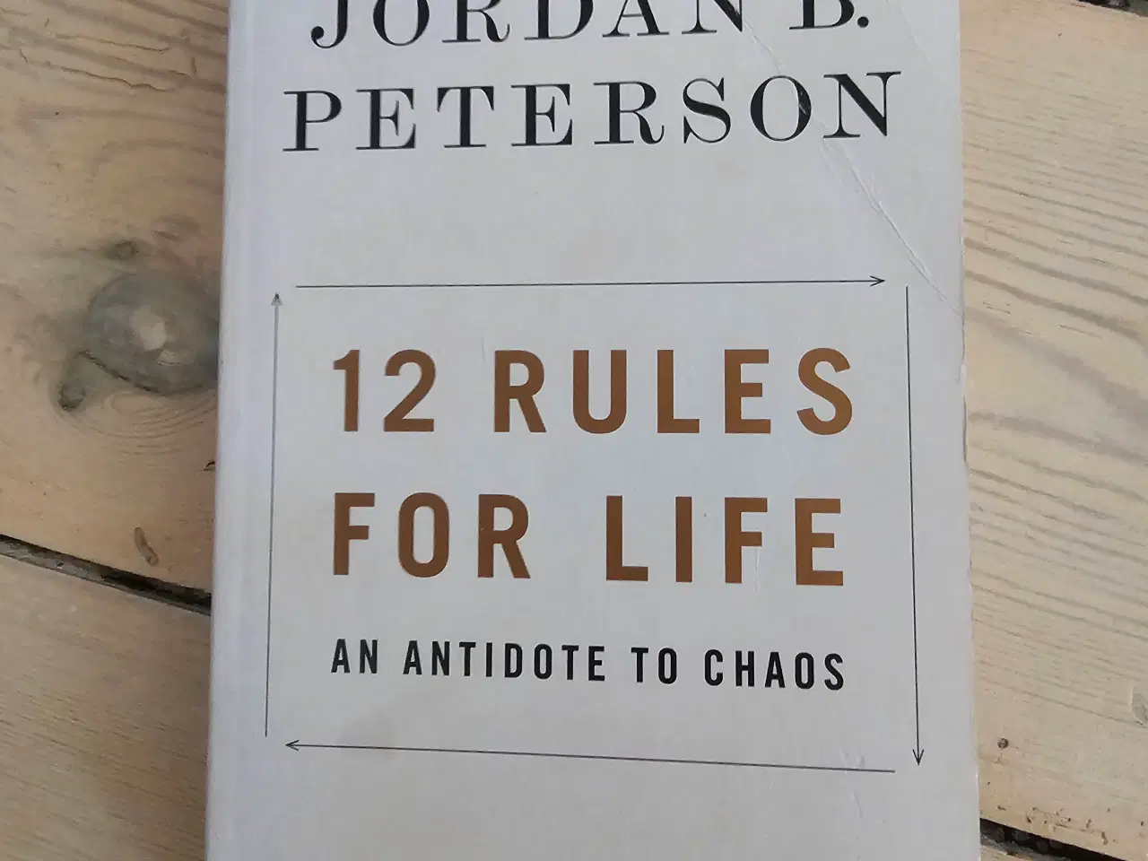 Billede 2 - Jordan Petersen, Arnold Schwarzenegger, Nassim Tal