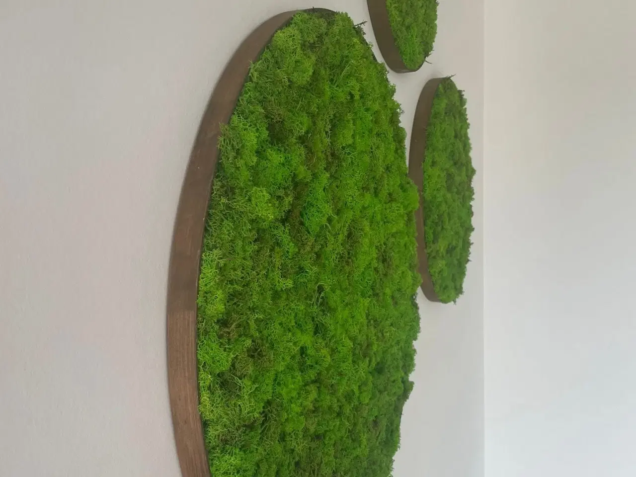 Billede 14 - Mos billeder 