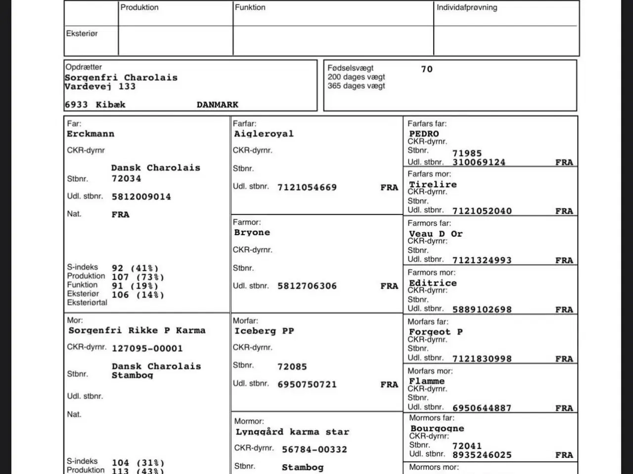 Billede 2 - Avlstyr til efteråret – stærk genetik og funktione