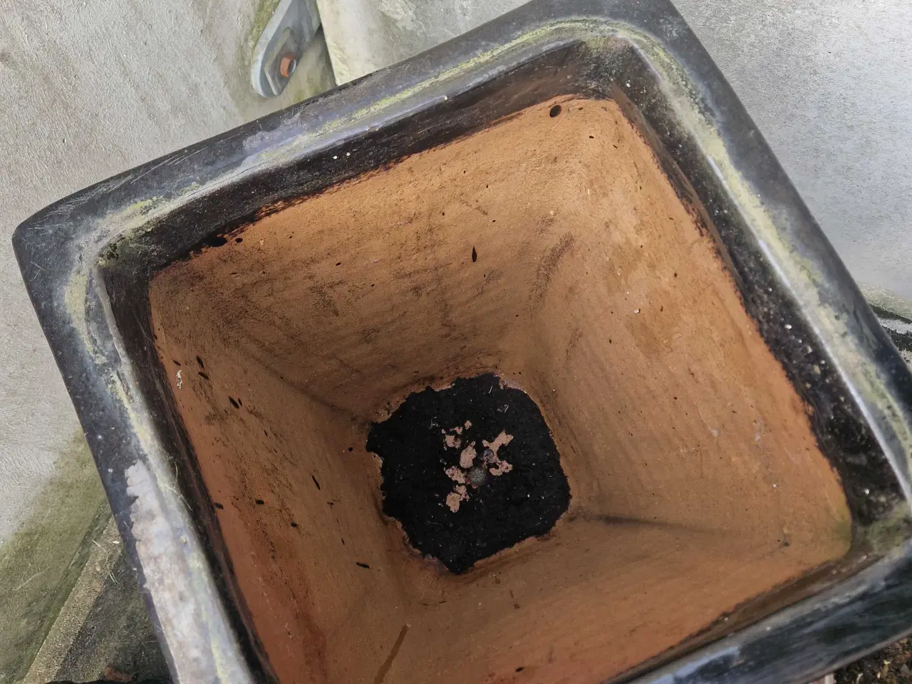 Billede 5 - Stor krukke til udendørs brug