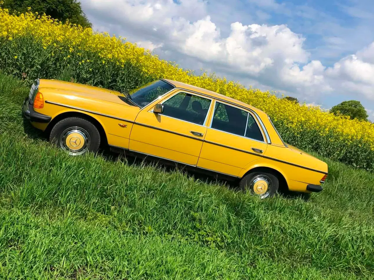 Billede 8 - Mercedes benz 123 2,0 benzin