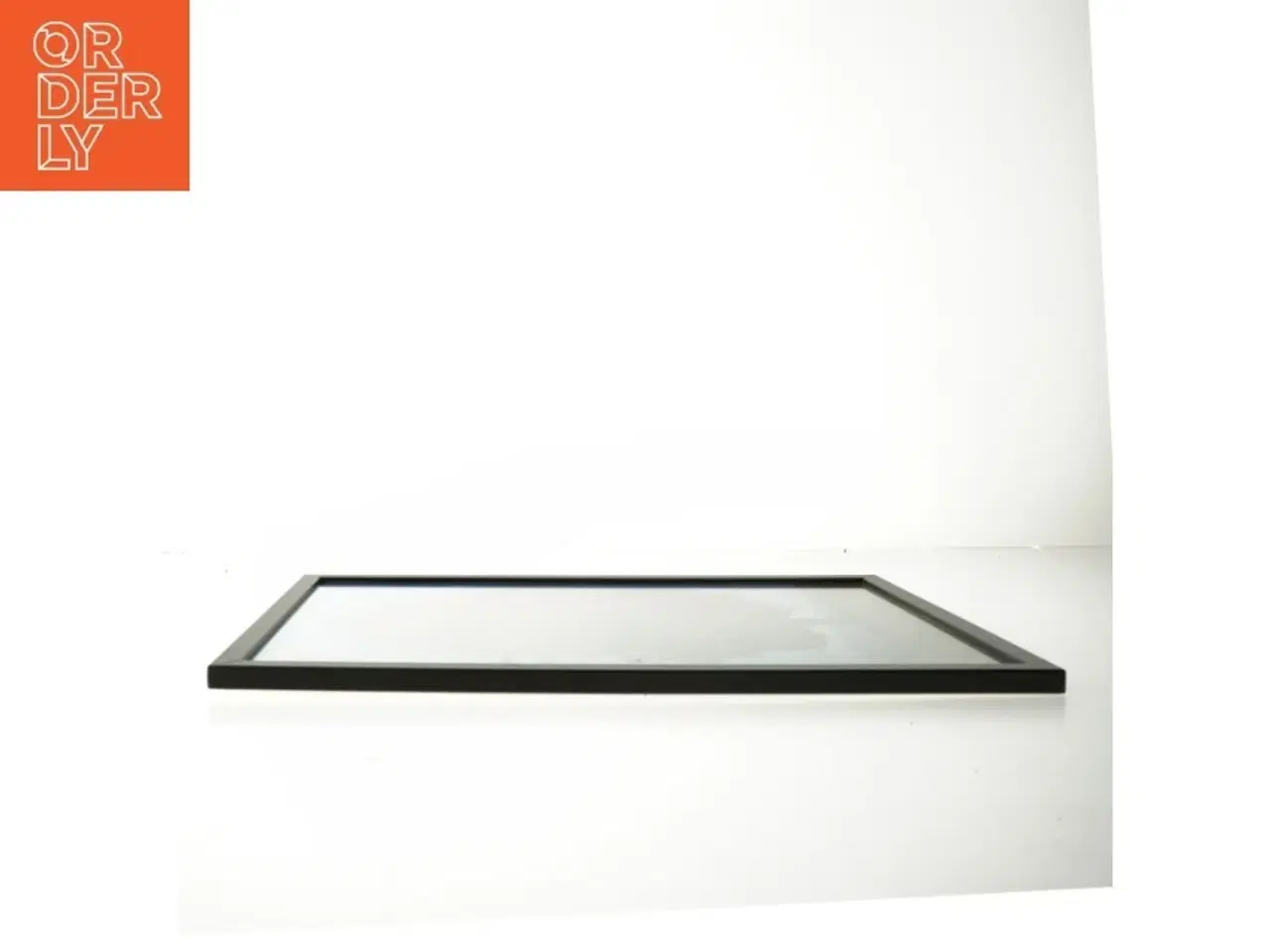 Billede 3 - Plakat med trær (str. 30x42 cm)