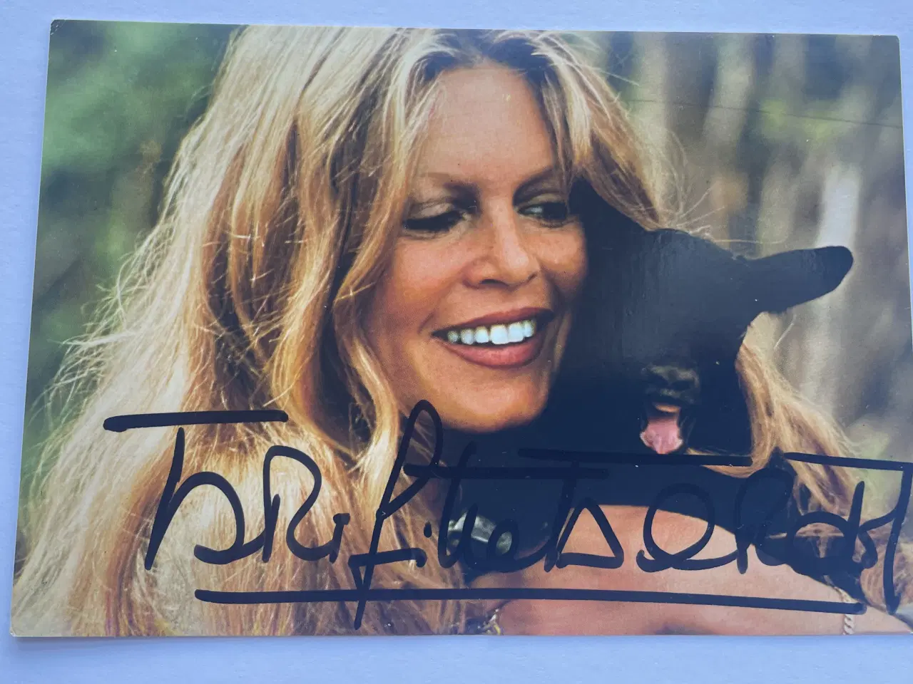 Billede 1 - Autograf af Brigitte Bardot (10x15cm) !
