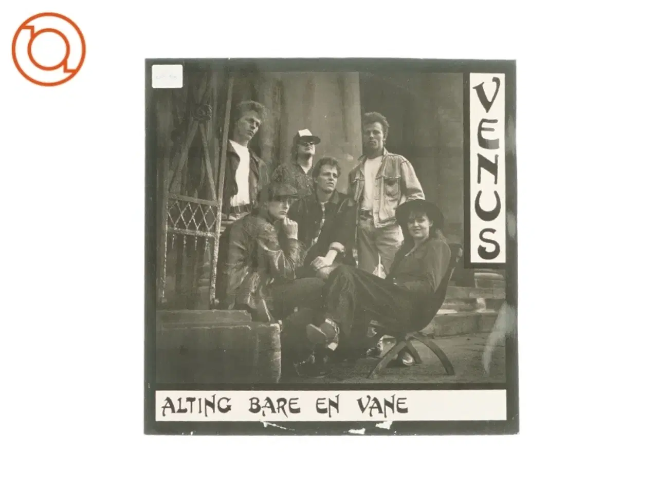 Billede 1 - Venus alting bare en vane