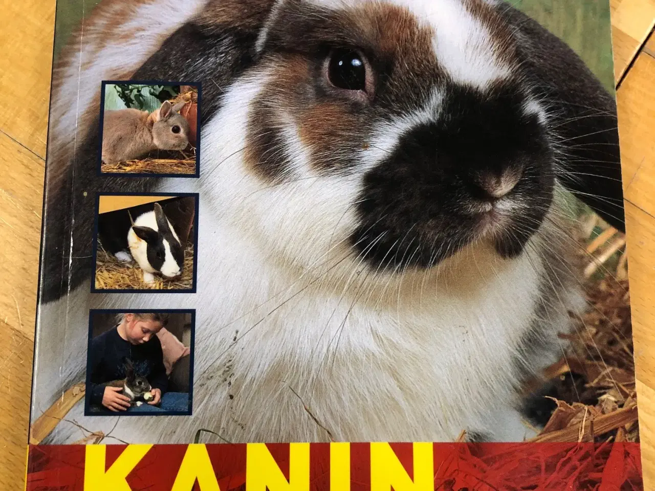 Billede 1 - Kanin bog