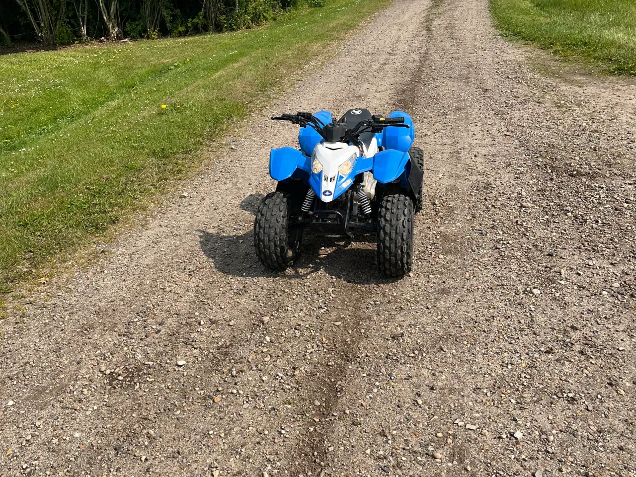Billede 2 - Polaris crosser, 50cc
