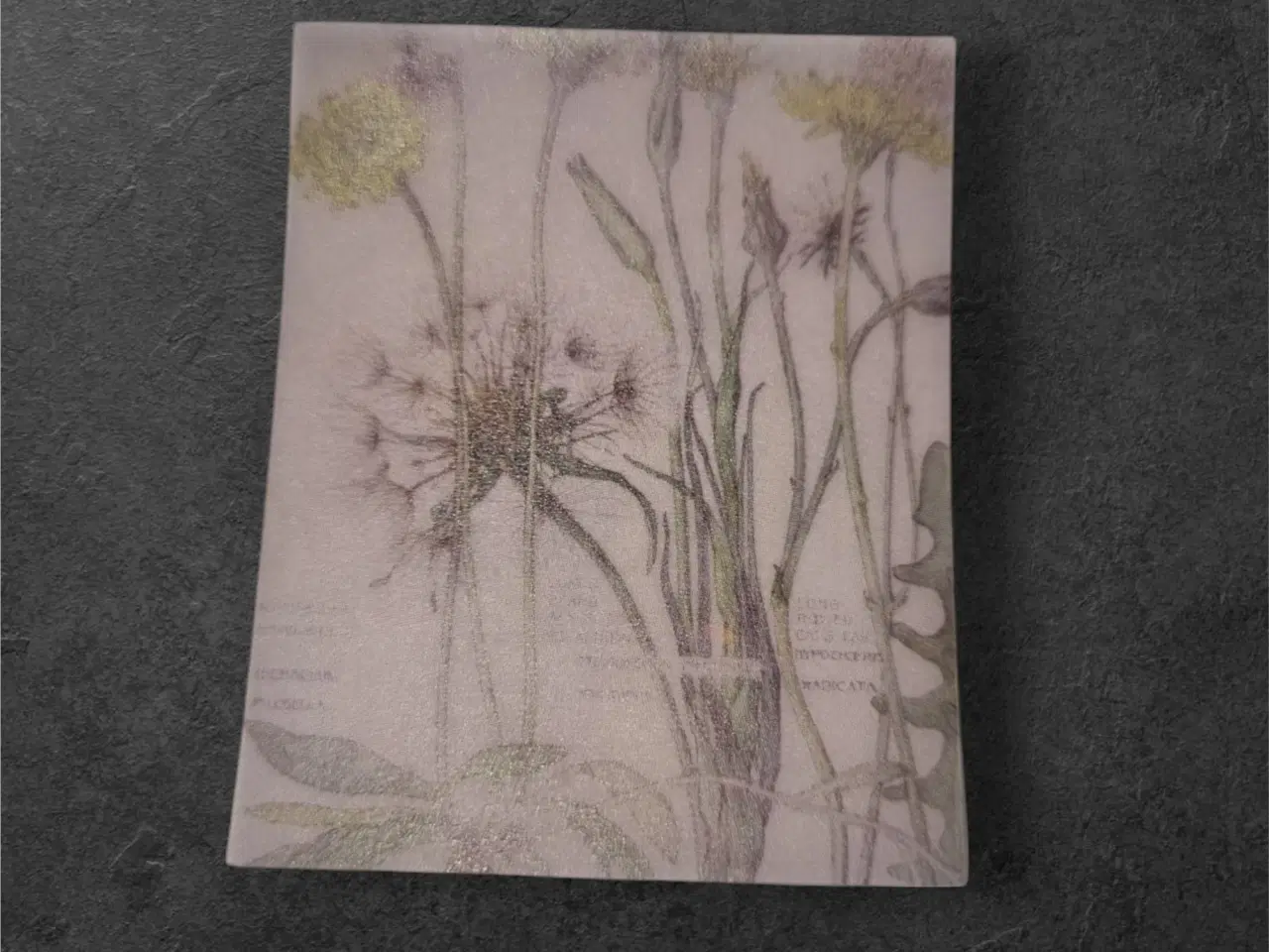 Billede 1 - Elegante papirark med vilde blomster og mælkebøtte