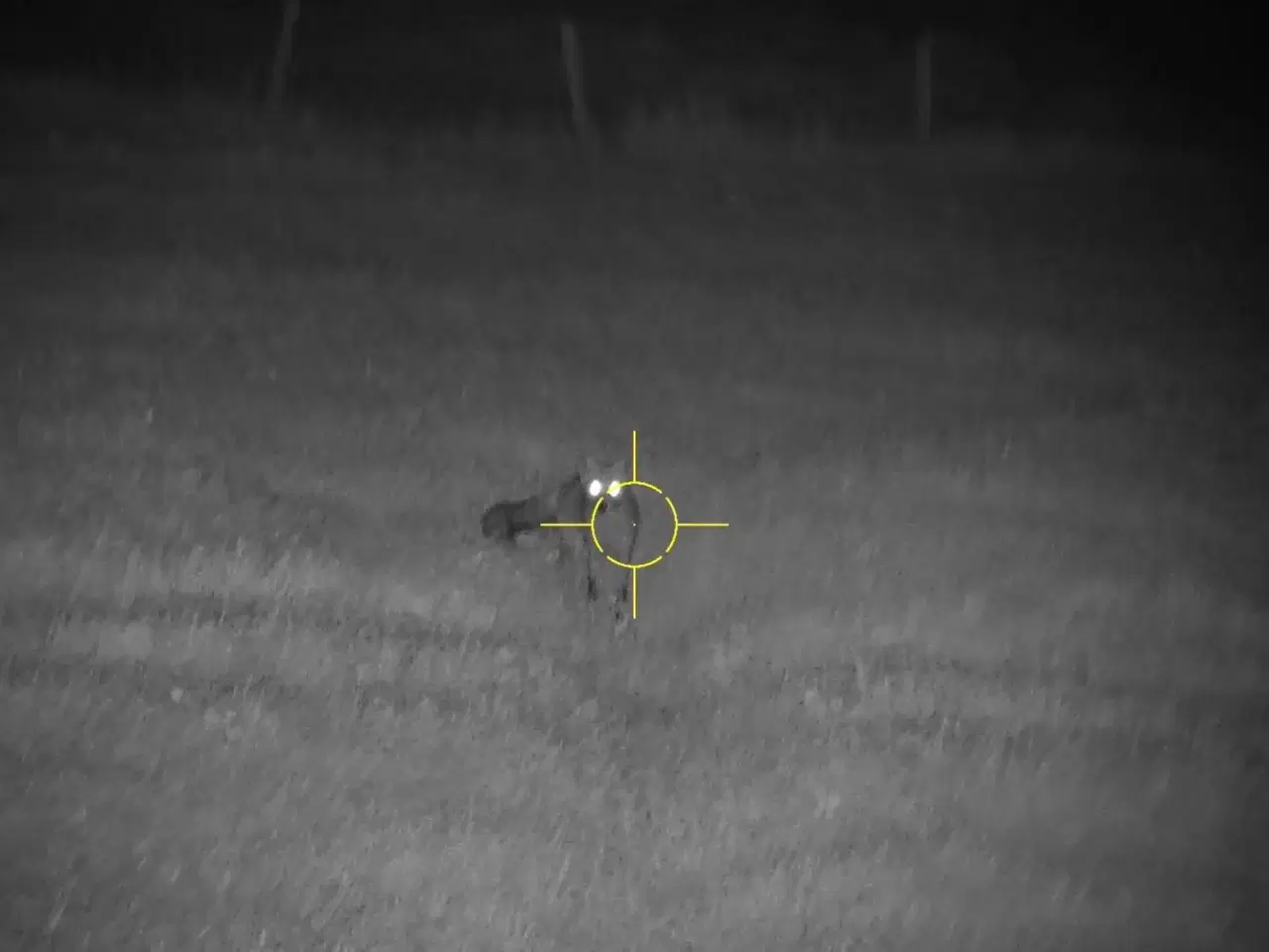 Billede 5 - Atn x-sight 4K pro 3-14x 