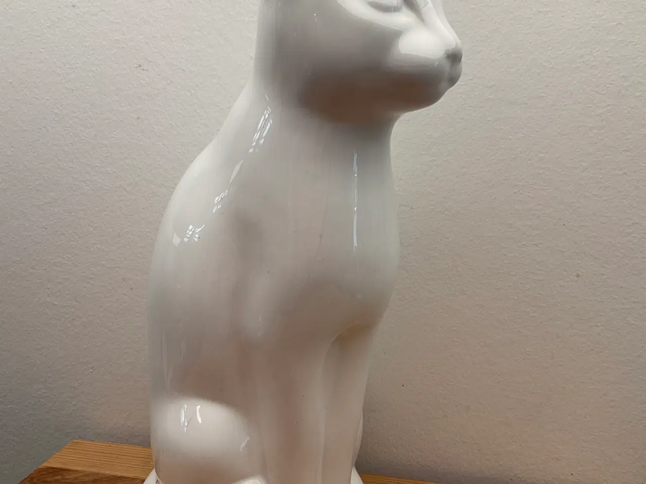Billede 1 - Kat