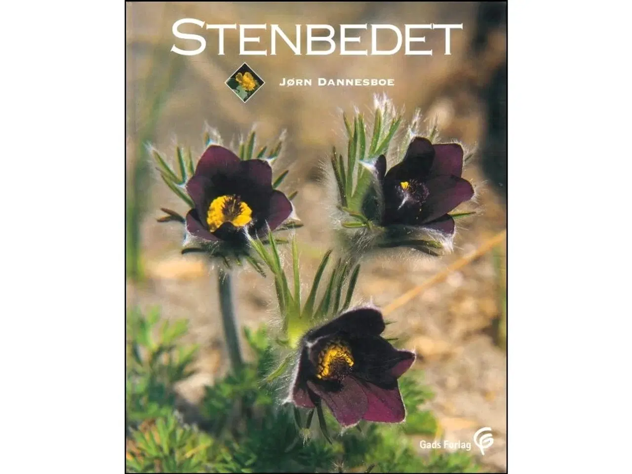 Billede 1 - Stenbedet