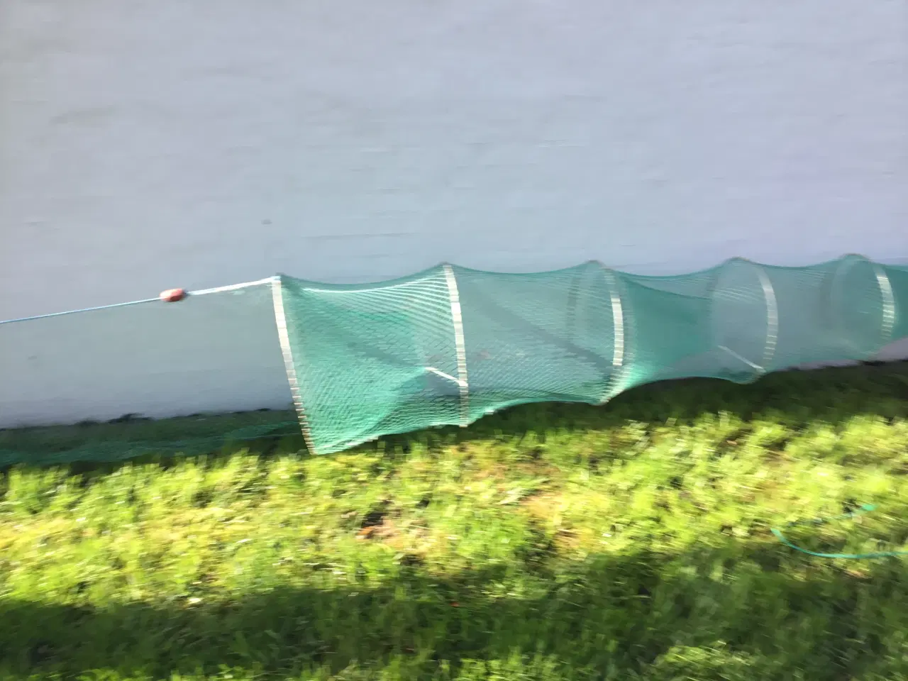 Billede 4 - Åleruse dobbelt 