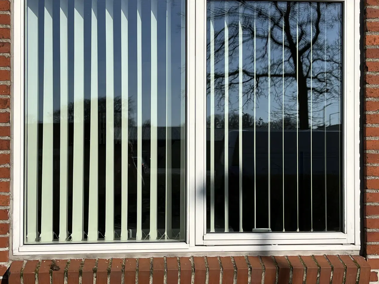 Billede 4 - Trævinduer termo 