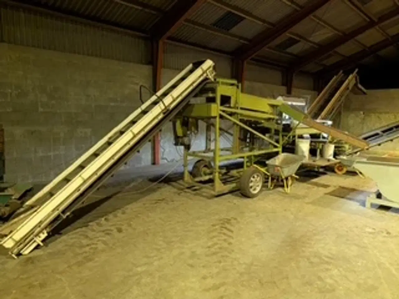 Billede 1 - Kartoffelsorterer Skals med 2 transportør