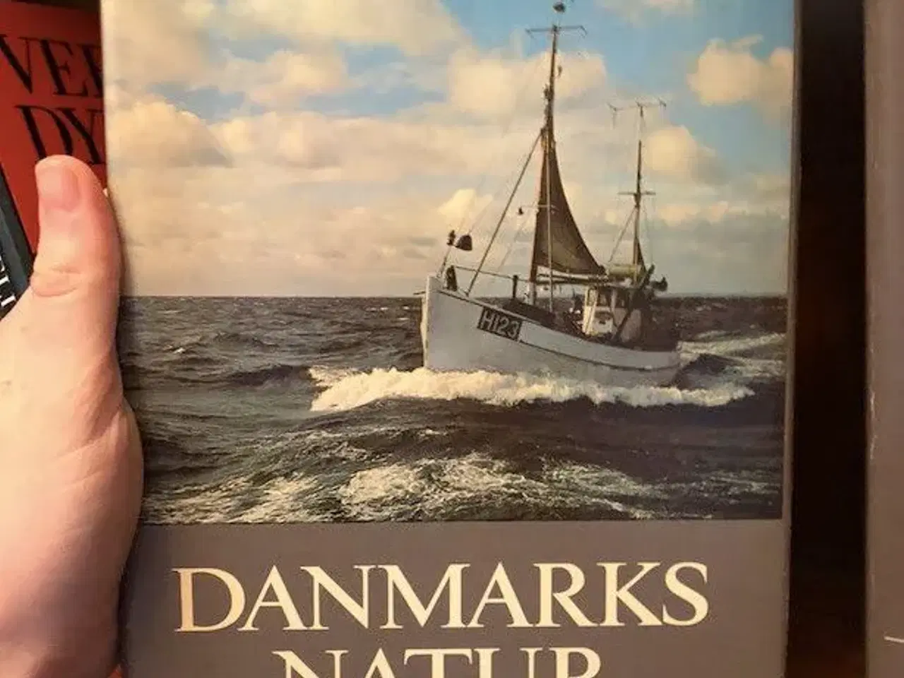 Billede 4 - Danmarks natur bind 1-12