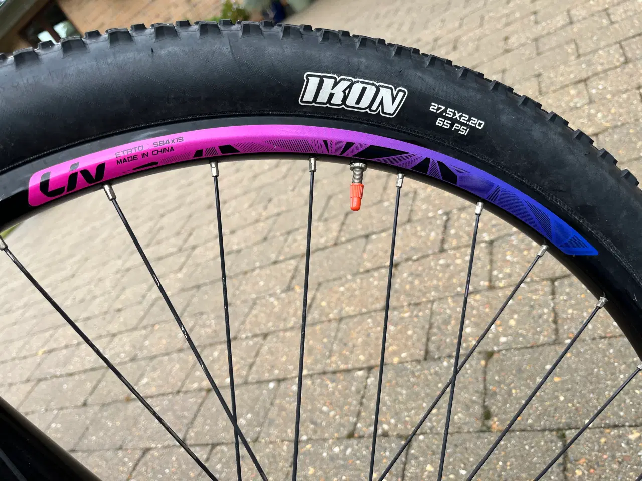 Billede 8 - MTB Giant liv-tempt