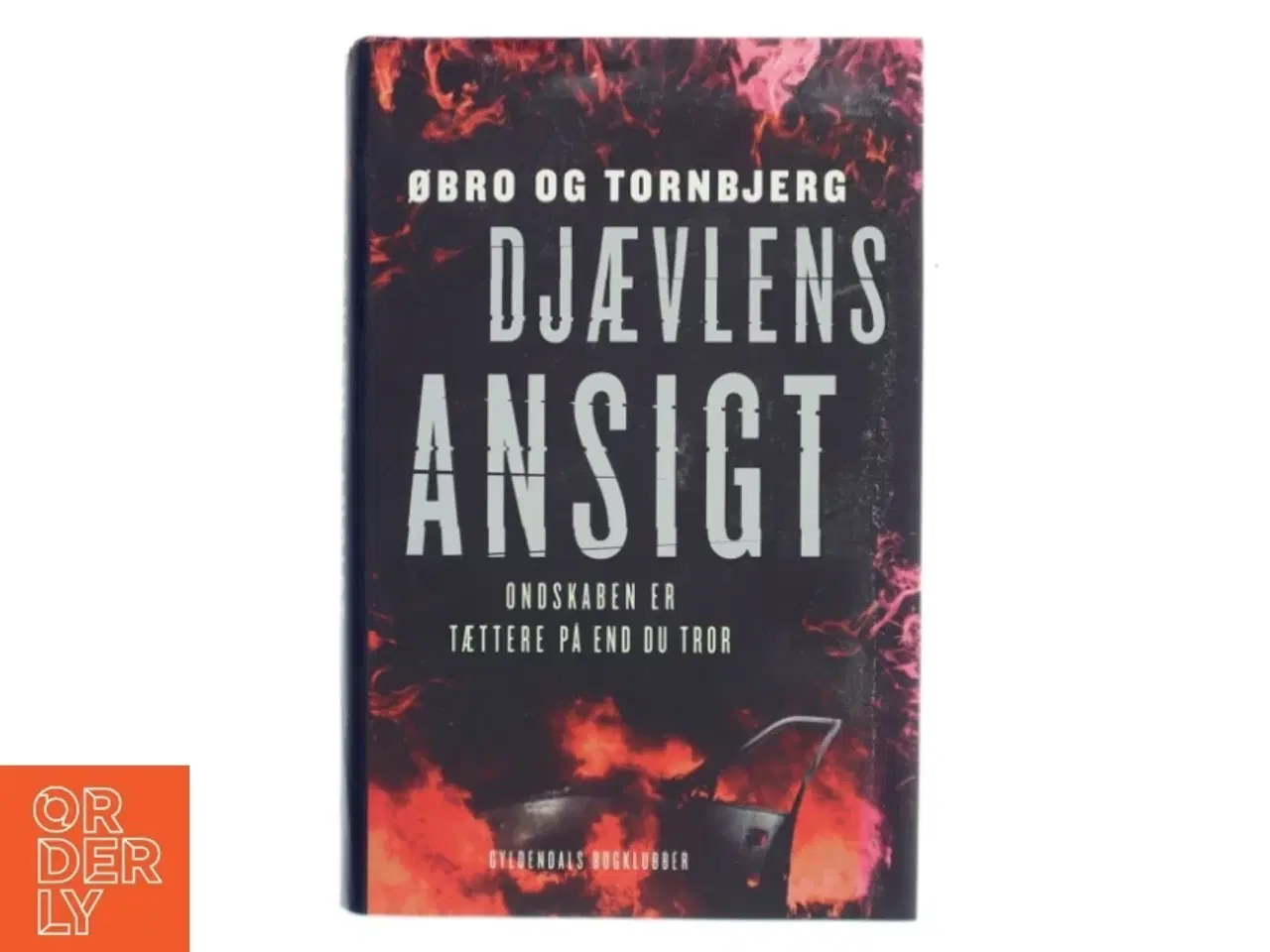 Billede 1 - Djævlens ansigt af Jeanette Øbro Gerlow (Bog)