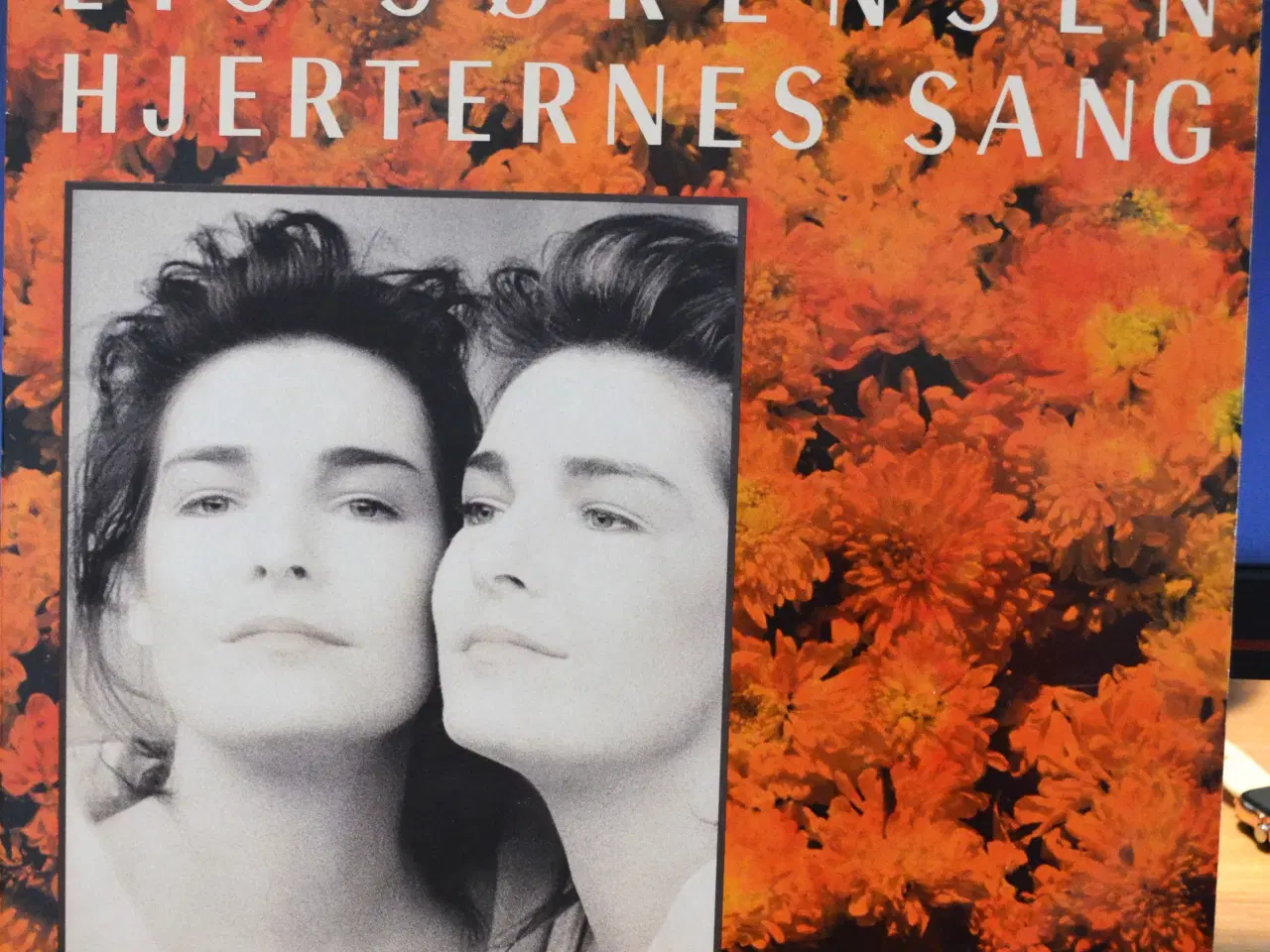 Billede 1 - LP plader sælges.