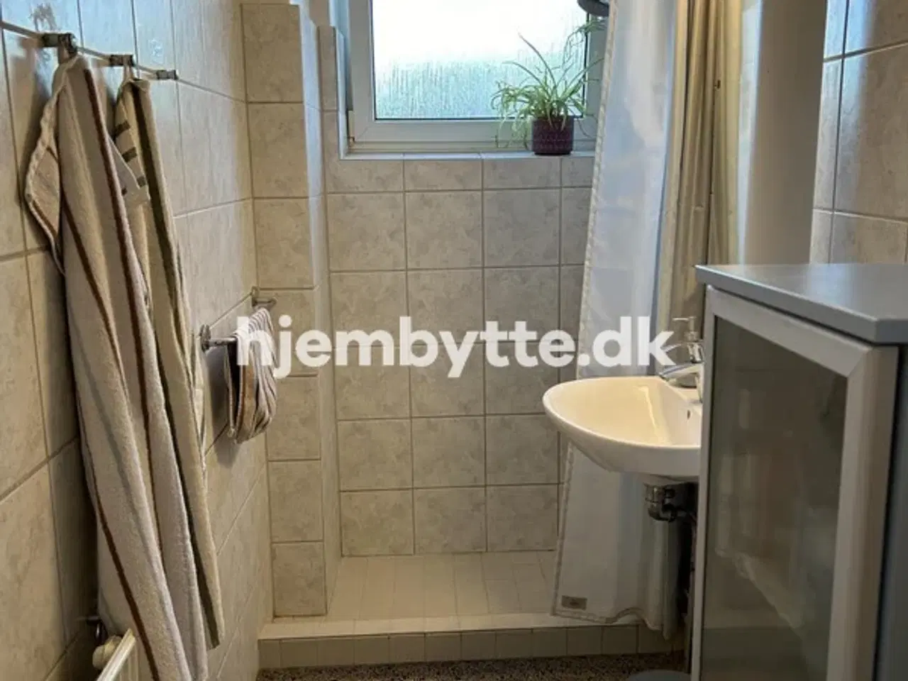 Billede 4 - Hjembytte - Banevænget