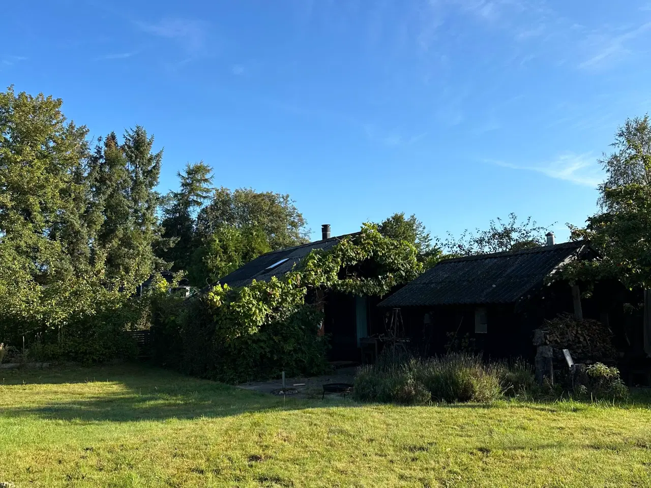 Billede 4 - Skøn kolonihave med fantastisk beliggenhed 