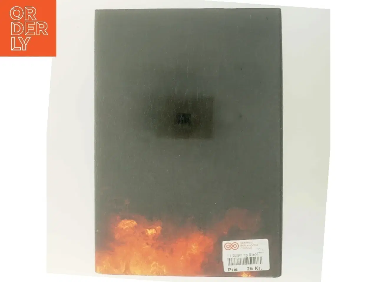 Billede 3 - Ildens Søn af Daniel Silva (Bog)