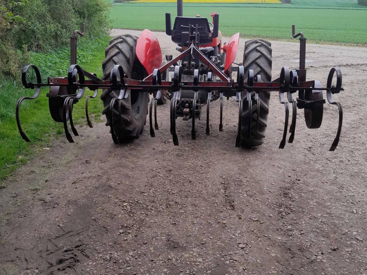 Billede 2 - Kongskilde