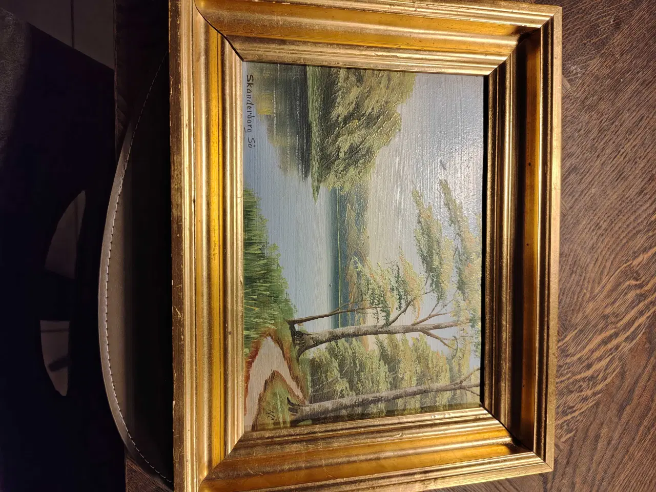 Billede 1 - Billede af sø