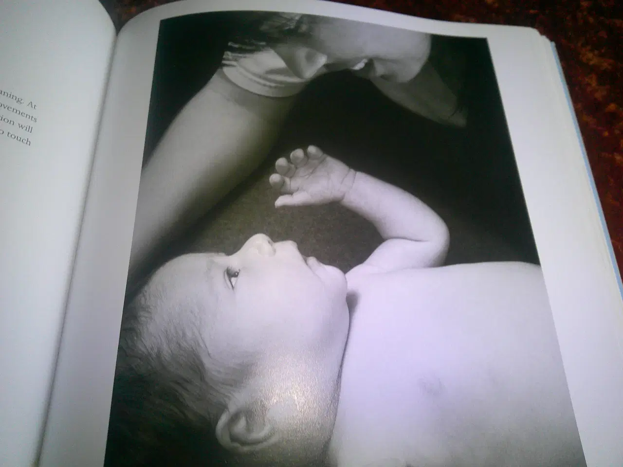 Billede 3 - Your Baby is Speaking to You,  Kevin Nugent