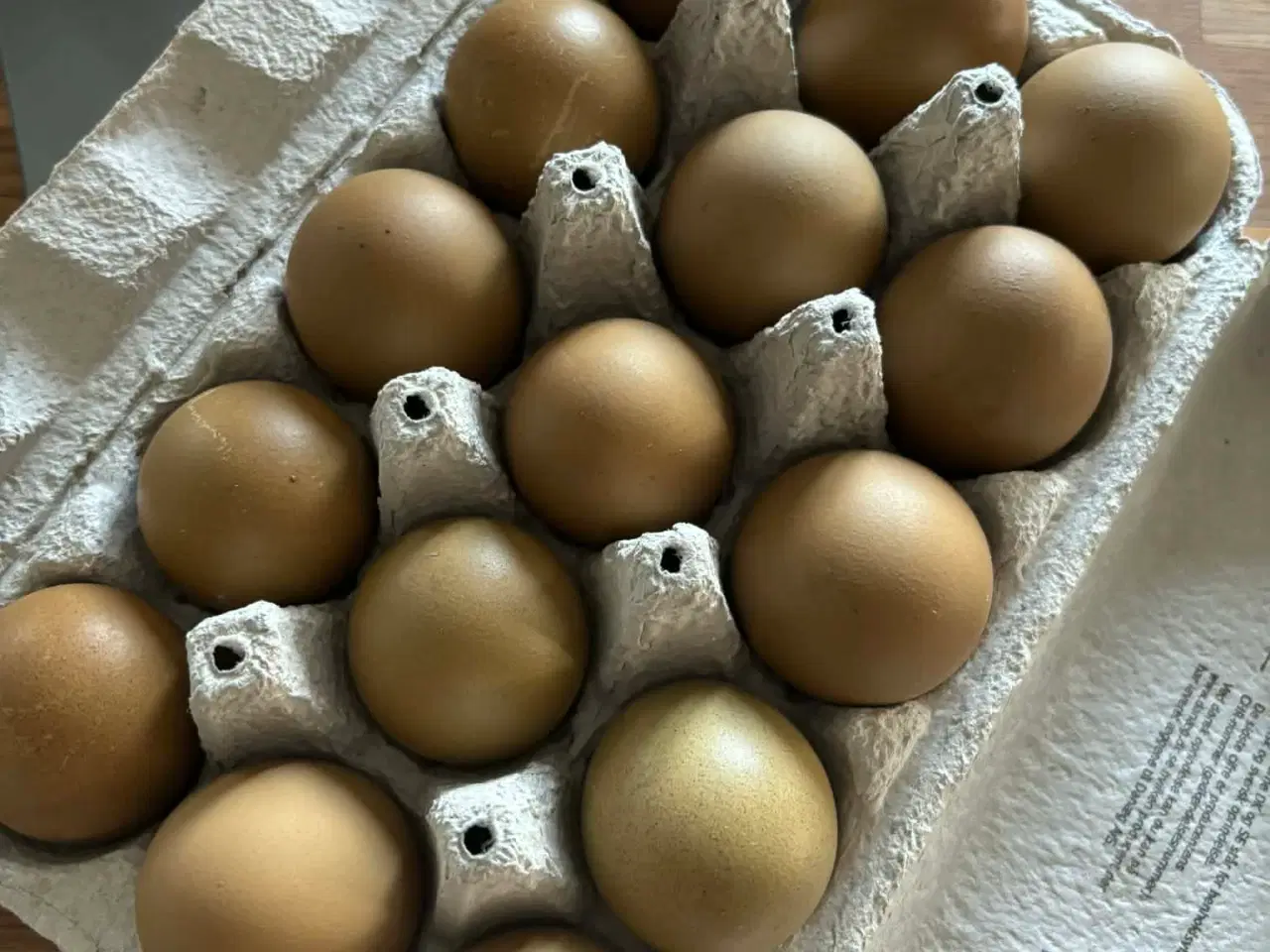Billede 3 - Daggamle kyllinger stor race farvede æg. 