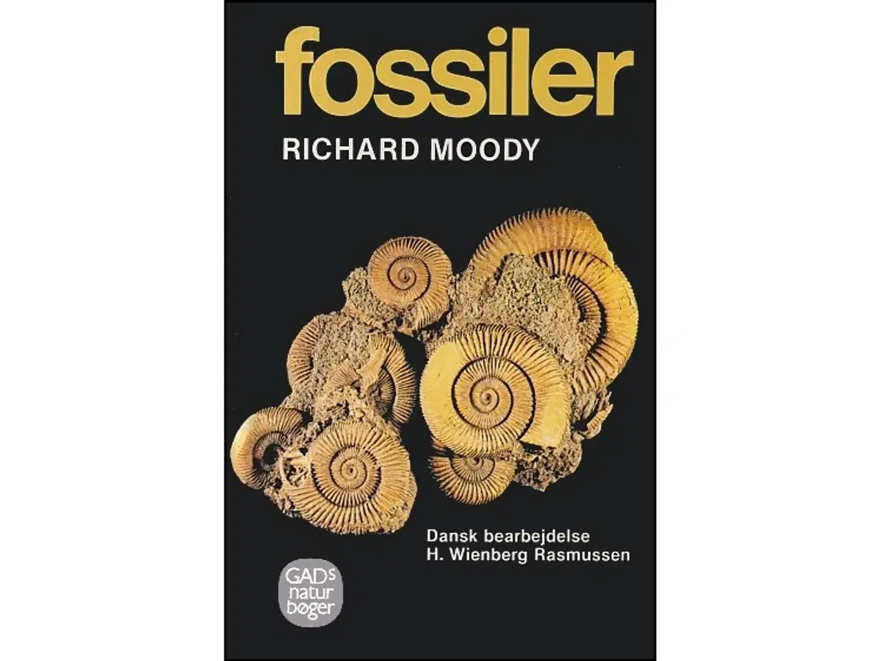 Billede 1 - Fossiler