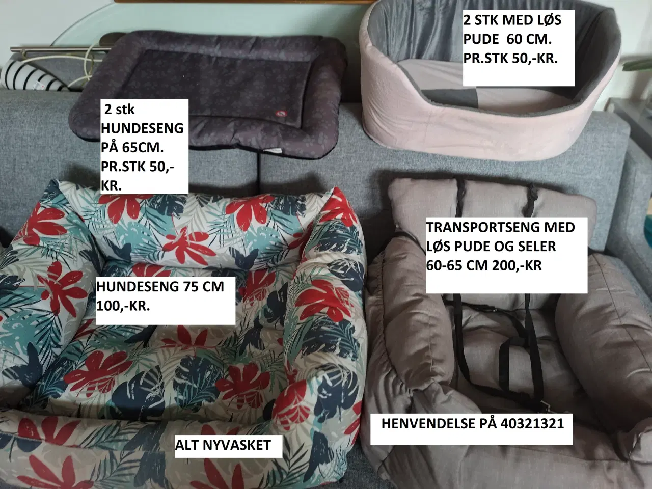 Billede 2 - Diverse hundeting senge klipper m.m