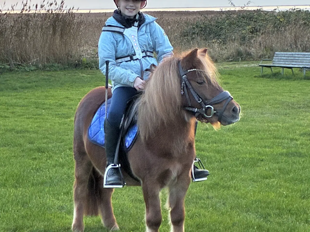 Billede 1 - Verdens bedste børnepony 