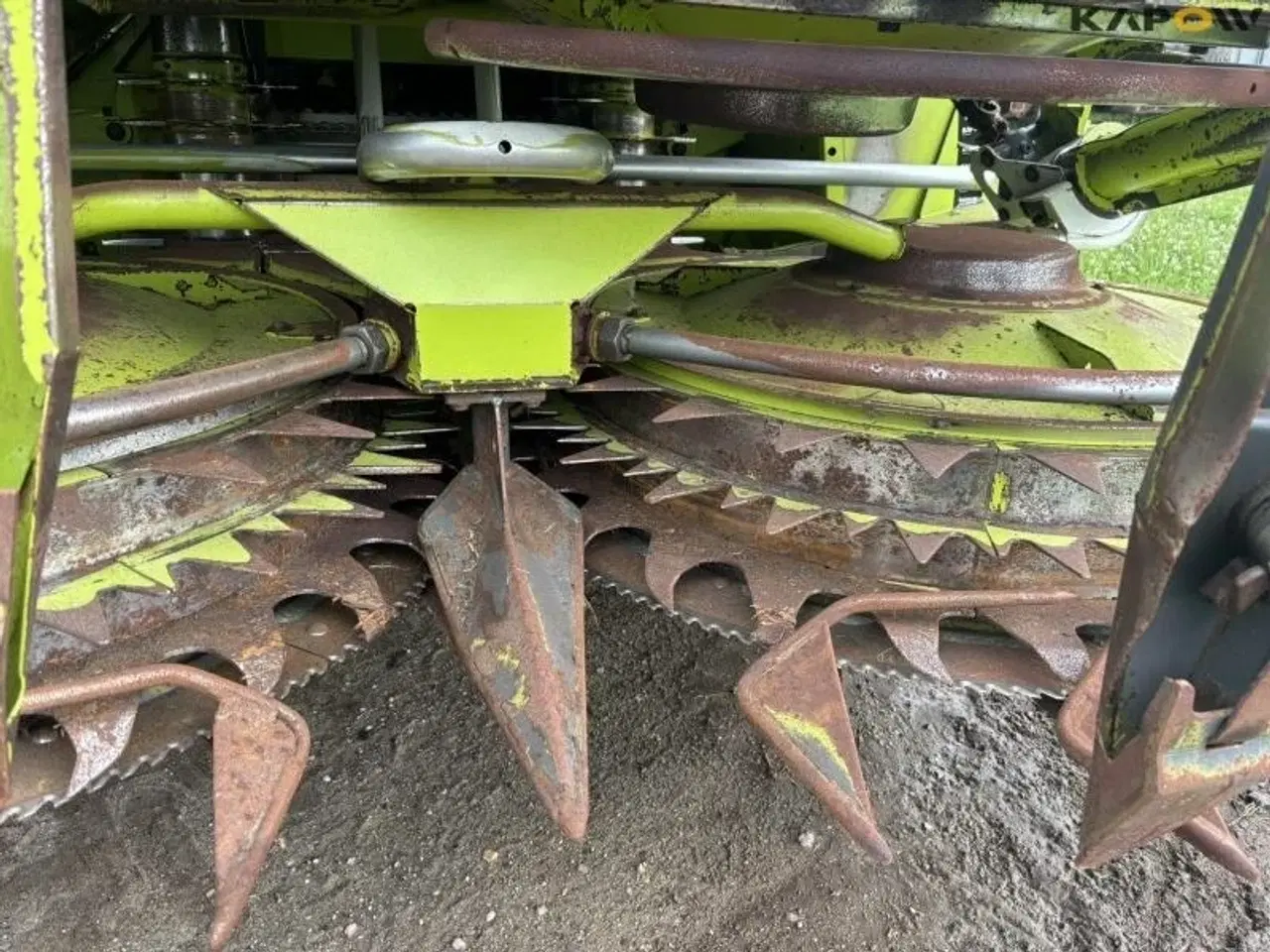 Billede 7 - CLAAS Orris 750 Majsskærebord