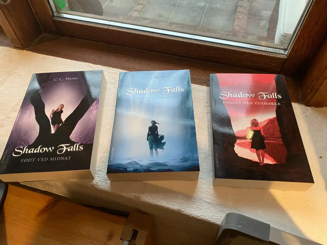 Billede 1 - Shadow falls