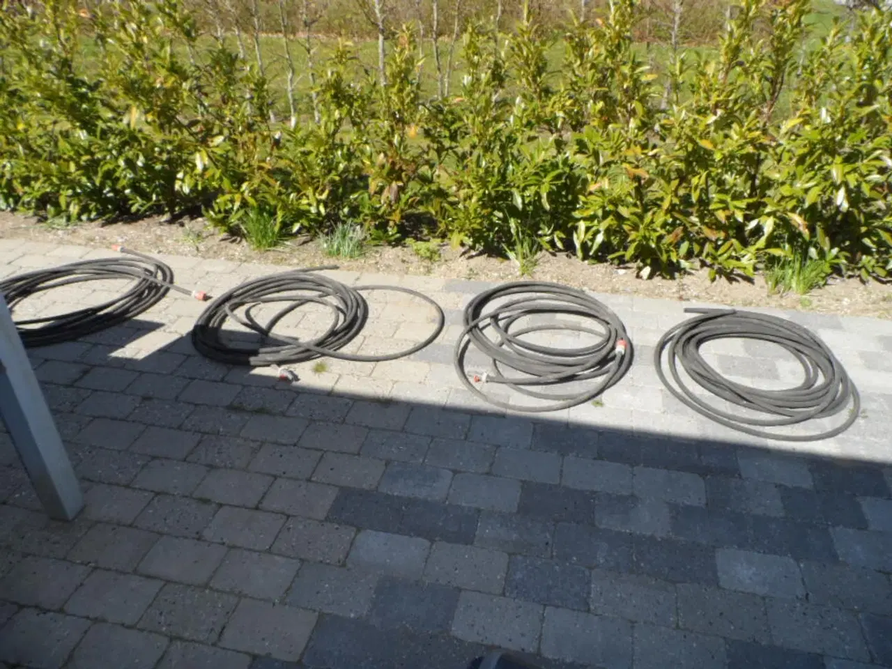 Billede 2 - SIVESLANGER