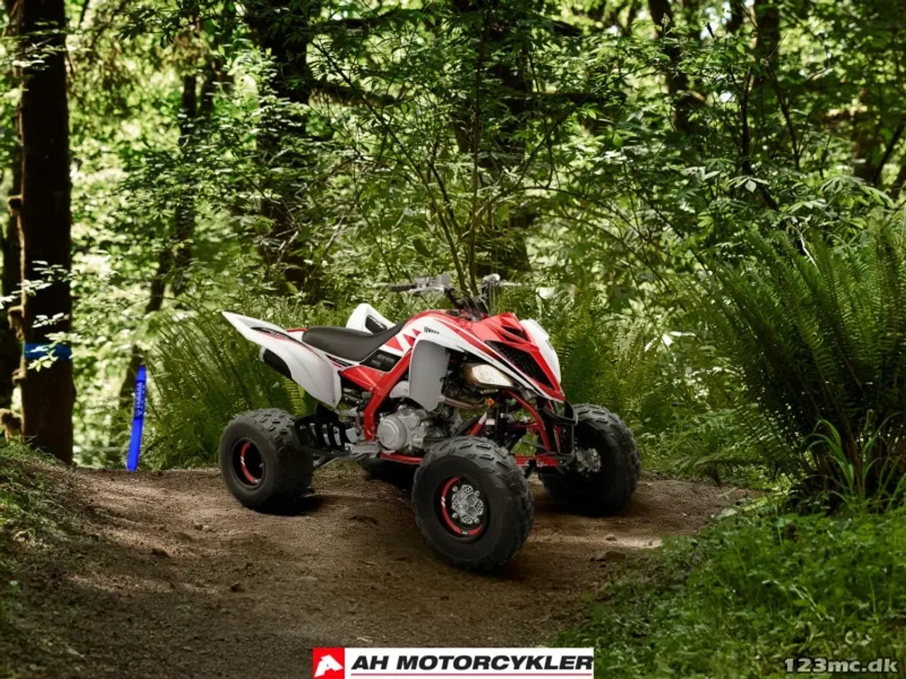 Billede 7 - Yamaha YFM 700 R 70th Anniversary Edition