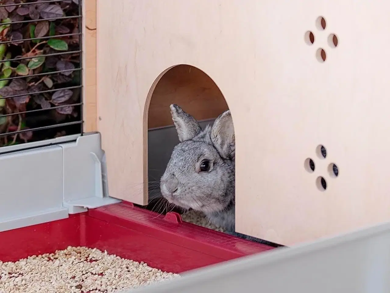 Billede 6 - Kaninbur FERPLAST Krolik 140 Plus – sammenklappeligt bur med hus