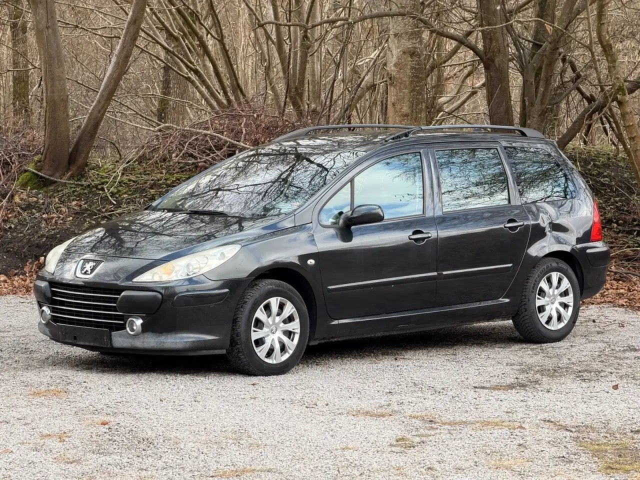 Billede 1 - Peugeot 307 1,6 Complete SW