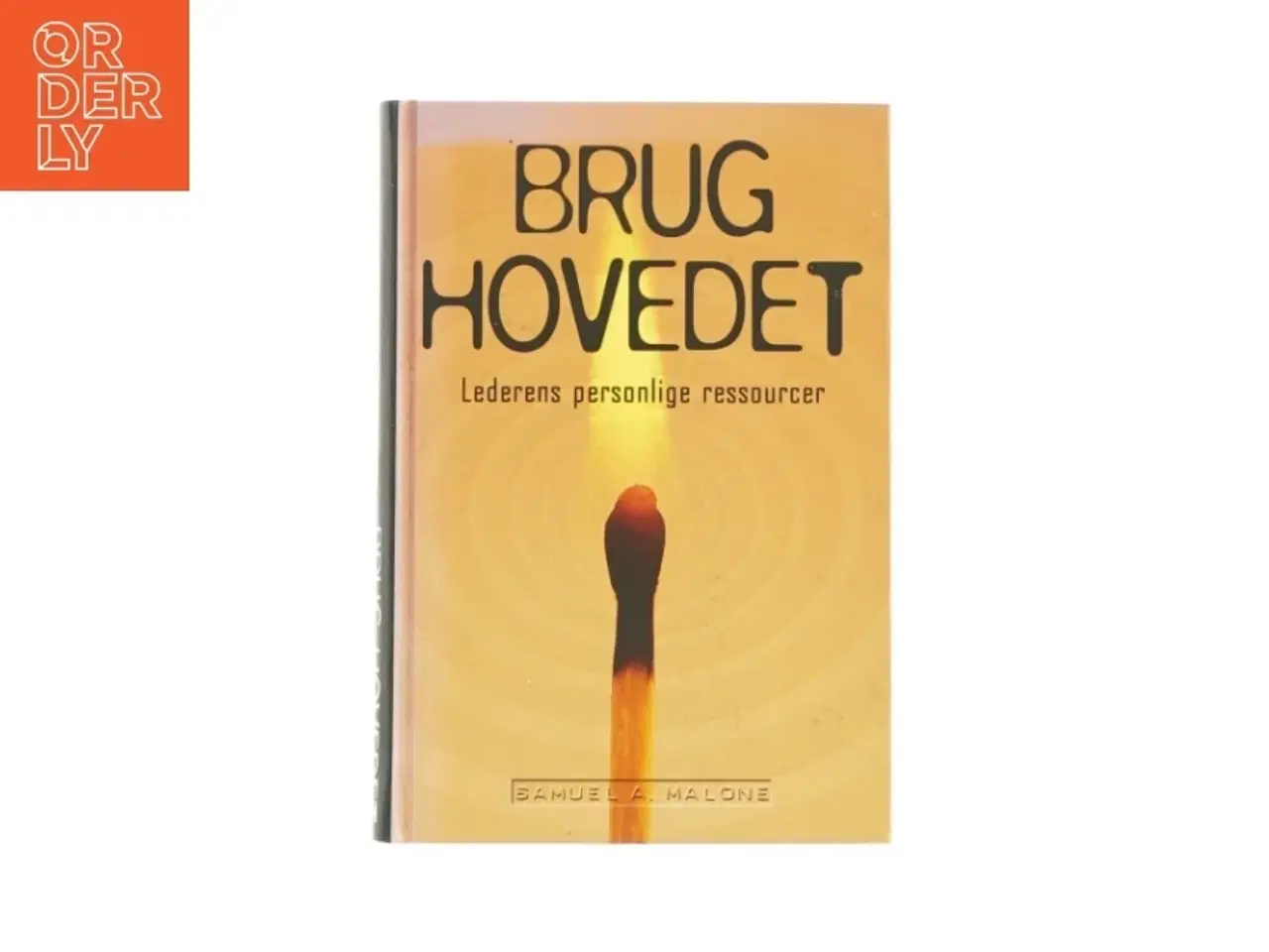 Billede 1 - Brug hovedet - Lederens personlige ressourcer - af Samuel A. Malone (Bog)