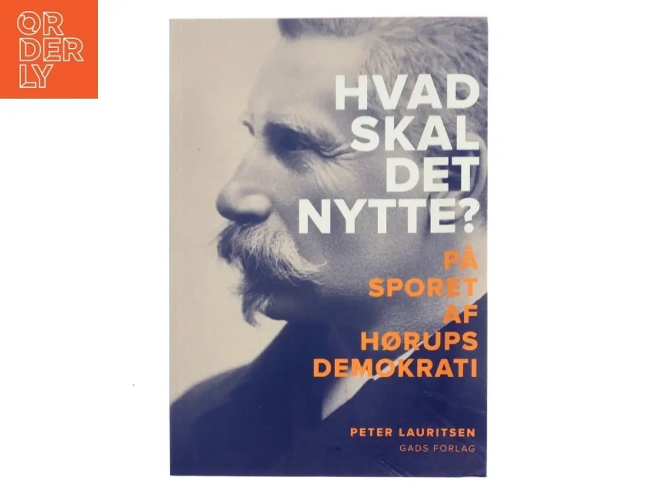 Billede 1 - Hvad skal det nytte? : på sporet af Hørups demokrati af Peter Lauritsen (f. 1969-09-30) (Bog)