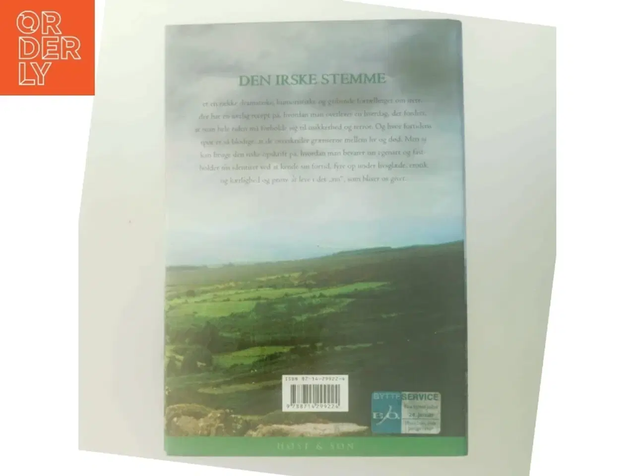 Billede 3 - Den irske stemme : fortællinger af Jane Aamund (Bog)