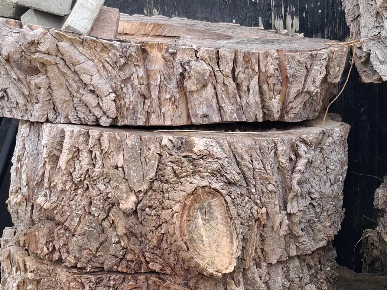 Billede 1 - Pilebrænde