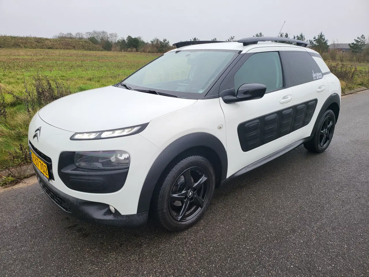 Billede 1 - Momsfri C4 cactus med automatgear 