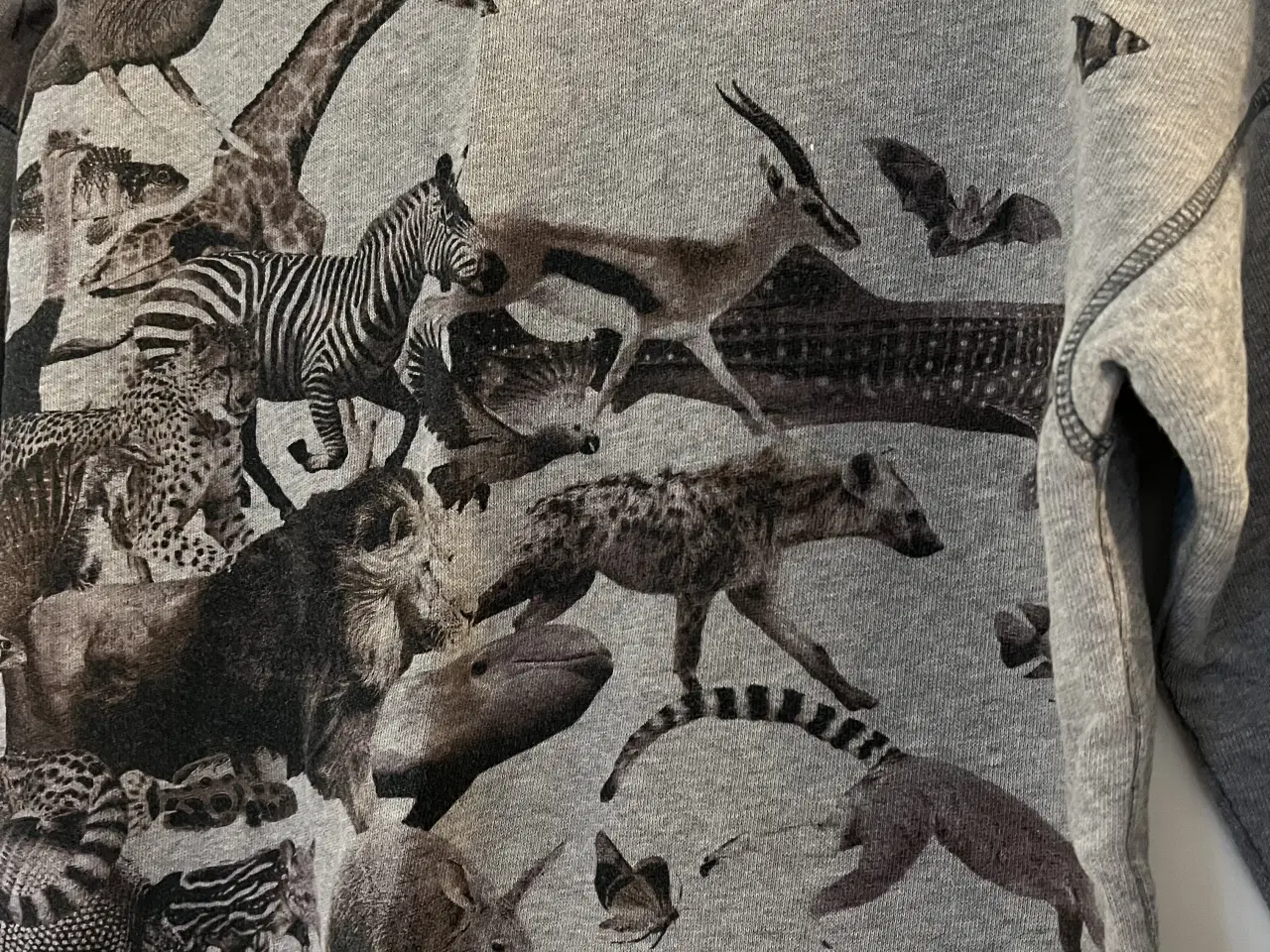 Billede 2 - Molo bluse